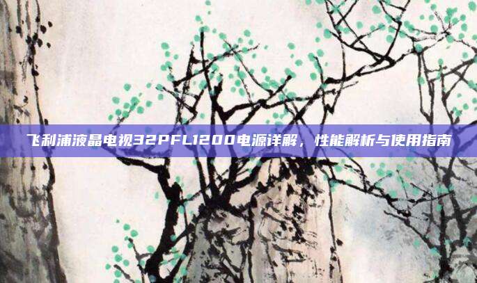 飞利浦液晶电视32PFL1200电源详解，性能解析与使用指南