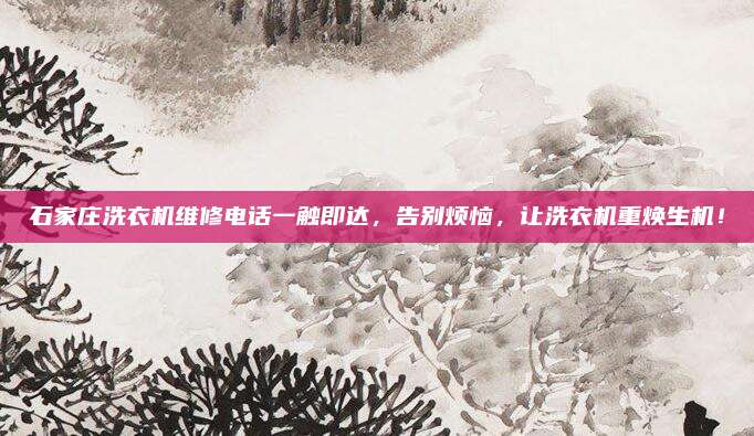 石家庄洗衣机维修电话一触即达，告别烦恼，让洗衣机重焕生机！