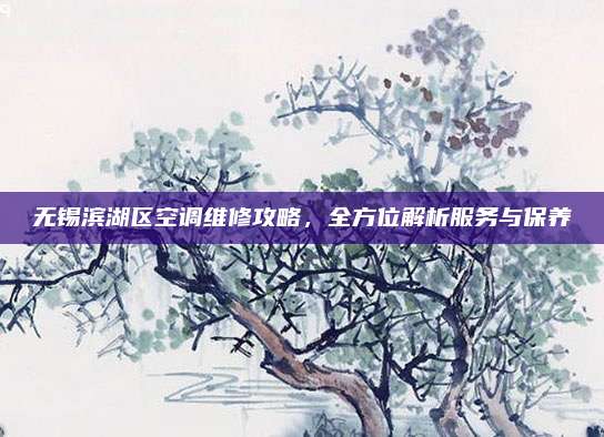 无锡滨湖区空调维修攻略,全方位解析服务与保养