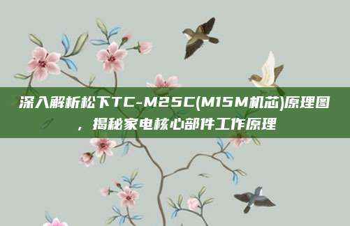 深入解析松下TC-M25C(M15M机芯)原理图,揭秘家电核心部件工作原理