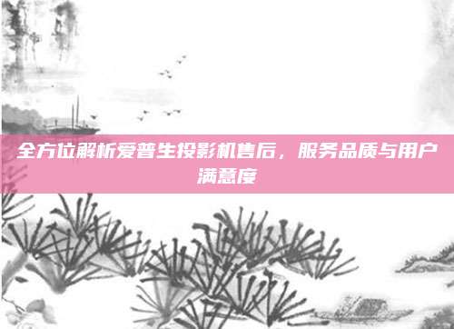全方位解析爱普生投影机售后,服务品质与用户满意度