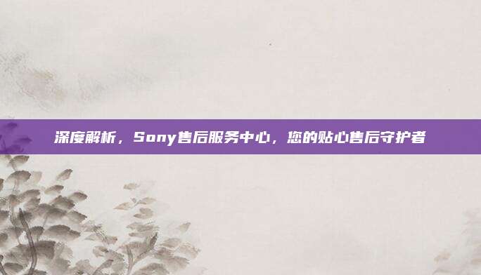 深度解析，Sony售后服务中心，您的贴心售后守护者