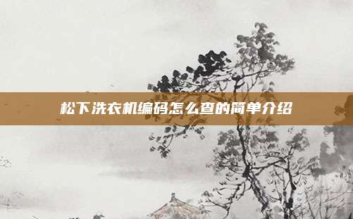 松下洗衣机编码怎么查的简单介绍