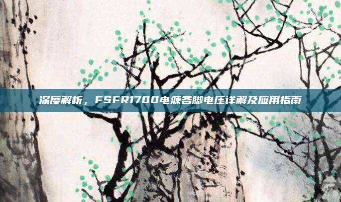 深度解析，FSFR1700电源各脚电压详解及应用指南