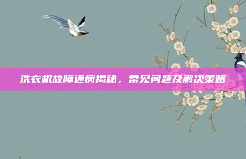 洗衣机故障通病揭秘，常见问题及解决策略