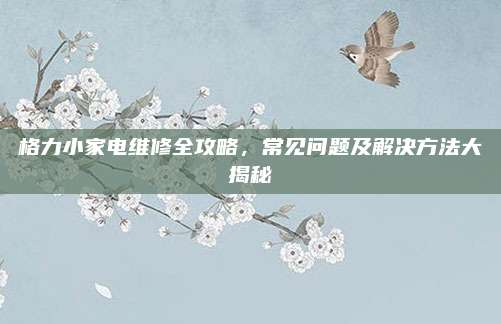 格力小家电维修全攻略，常见问题及解决方法大揭秘