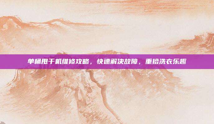 单桶甩干机维修攻略，快速解决故障，重拾洗衣乐趣
