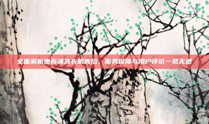 全面解析惠而浦洗衣机售后，服务保障与用户评价一览无遗