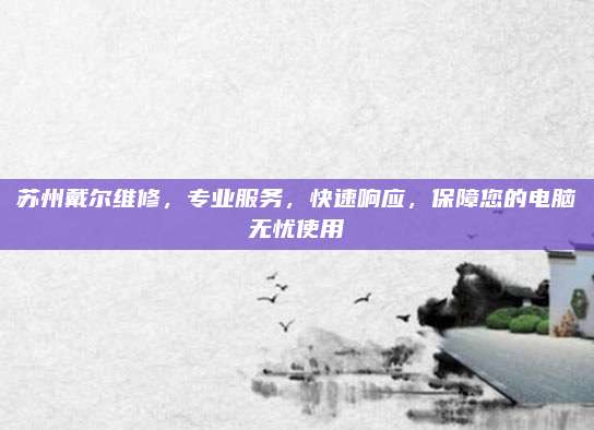 苏州戴尔维修,专业服务,快速响应,保障您的电脑无忧使用