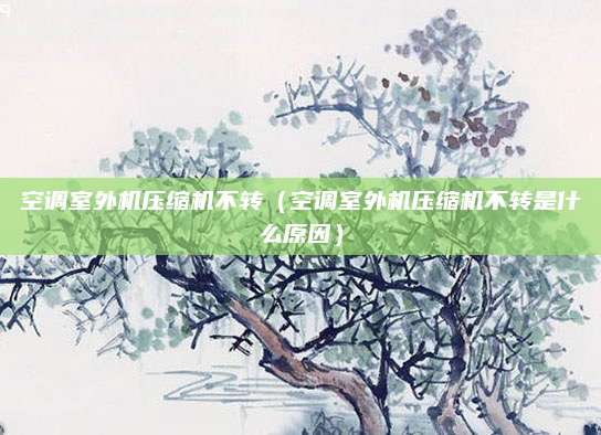 空调室外机压缩机不转（空调室外机压缩机不转是什么原因）