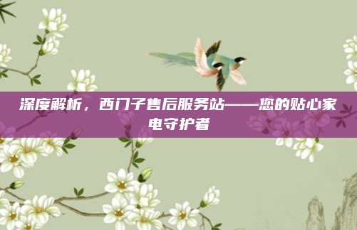 深度解析,西门子售后服务站——您的贴心家电守护者