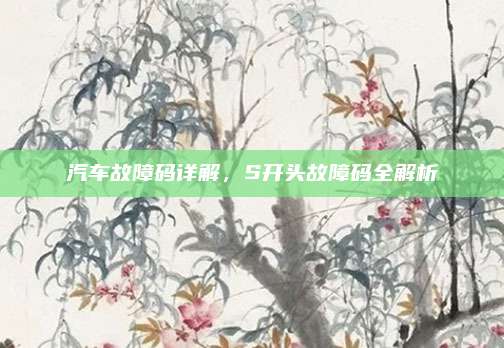 汽车故障码详解,S开头故障码全解析