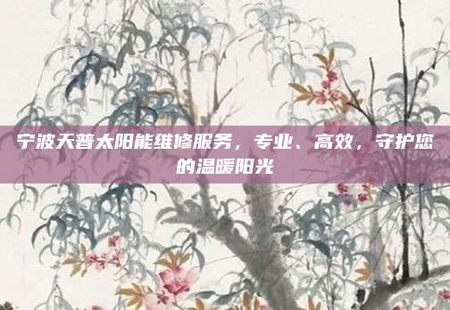 宁波天普太阳能维修服务,专业、高效,守护您的温暖阳光