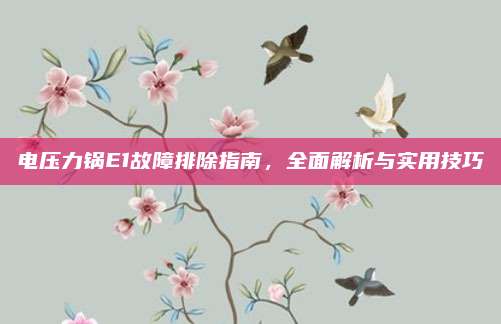 电压力锅E1故障排除指南,全面解析与实用技巧