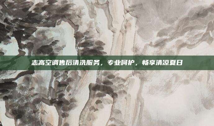 志高空调售后清洗服务，专业呵护，畅享清凉夏日