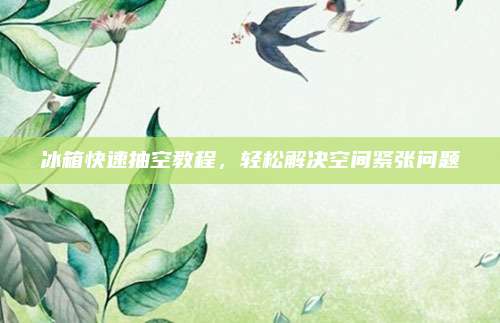 冰箱快速抽空教程，轻松解决空间紧张问题