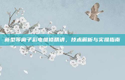 新型等离子彩电维修精讲，技术解析与实操指南