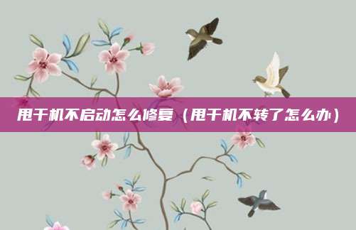 甩干机不启动怎么修复（甩干机不转了怎么办）