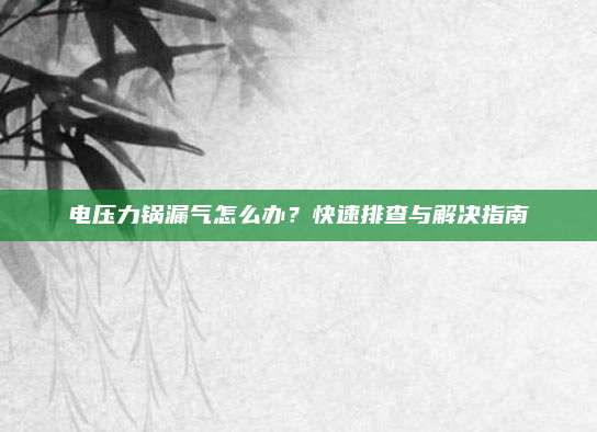 电压力锅漏气怎么办？快速排查与解决指南