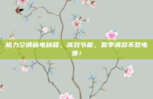 格力空调省电秘籍，高效节能，夏季清凉不愁电费！