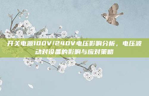 开关电源100V/240V电压影响分析，电压波动对设备的影响与应对策略