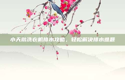 小天鹅洗衣机排水攻略,轻松解决排水难题