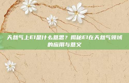 天然气上E1是什么意思？揭秘E1在天然气领域的应用与意义