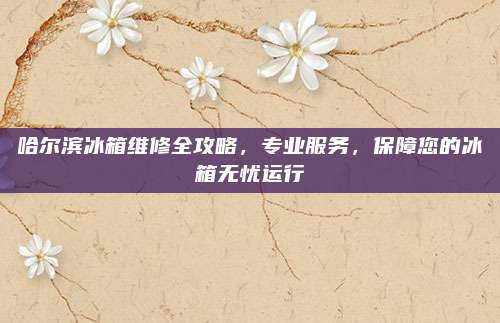哈尔滨冰箱维修全攻略，专业服务，保障您的冰箱无忧运行