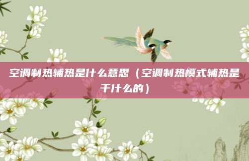 空调制热辅热是什么意思(空调制热模式辅热是干什么的)