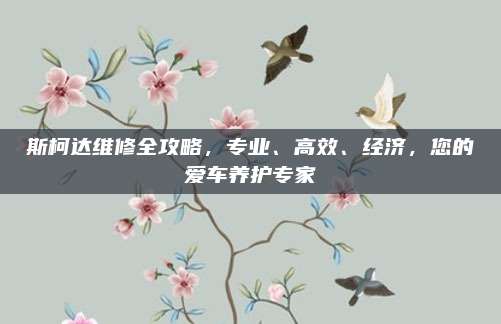 斯柯达维修全攻略,专业、高效、经济,您的爱车养护专家