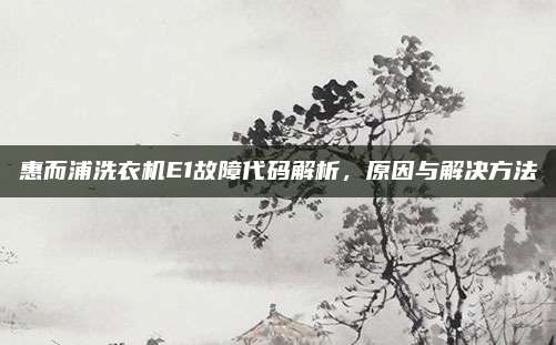 惠而浦洗衣机E1故障代码解析,原因与解决方法