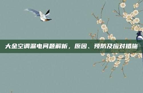 大金空调漏电问题解析，原因、预防及应对措施