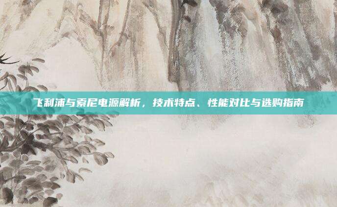 飞利浦与索尼电源解析,技术特点、性能对比与选购指南