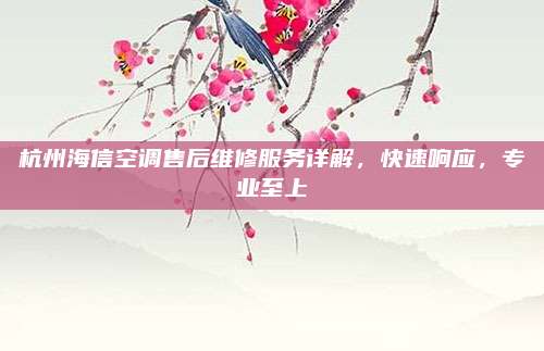 杭州海信空调售后维修服务详解，快速响应，专业至上
