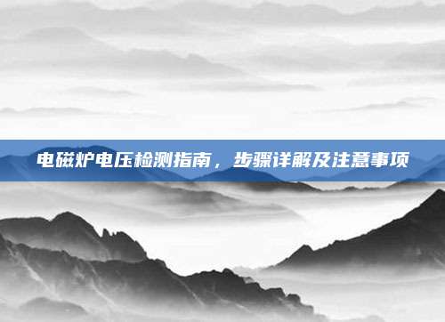 电磁炉电压检测指南,步骤详解及注意事项
