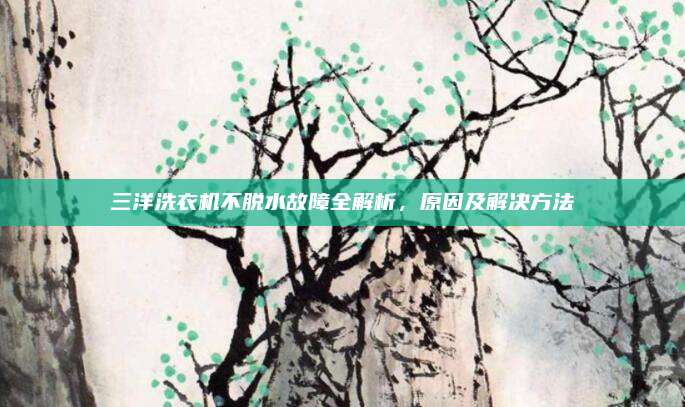 三洋洗衣机不脱水故障全解析，原因及解决方法
