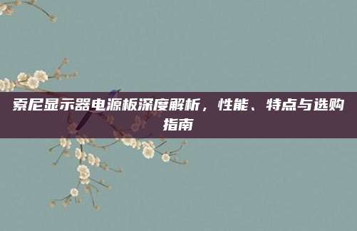 索尼显示器电源板深度解析，性能、特点与选购指南