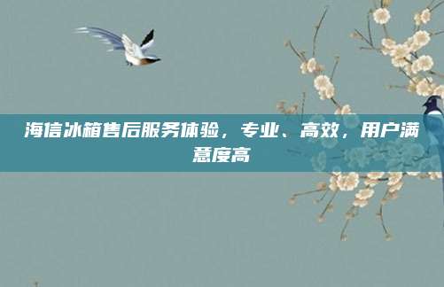 海信冰箱售后服务体验,专业、高效,用户满意度高