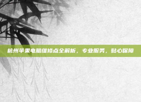 杭州苹果电脑维修点全解析，专业服务，贴心保障