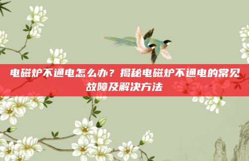 电磁炉不通电怎么办？揭秘电磁炉不通电的常见故障及解决方法
