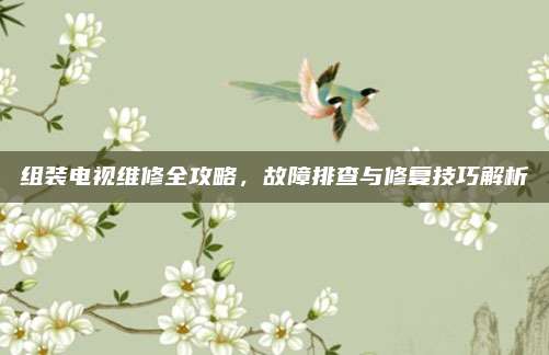 组装电视维修全攻略，故障排查与修复技巧解析