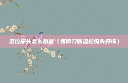温控探头怎么测量(如何判断温控探头好坏)