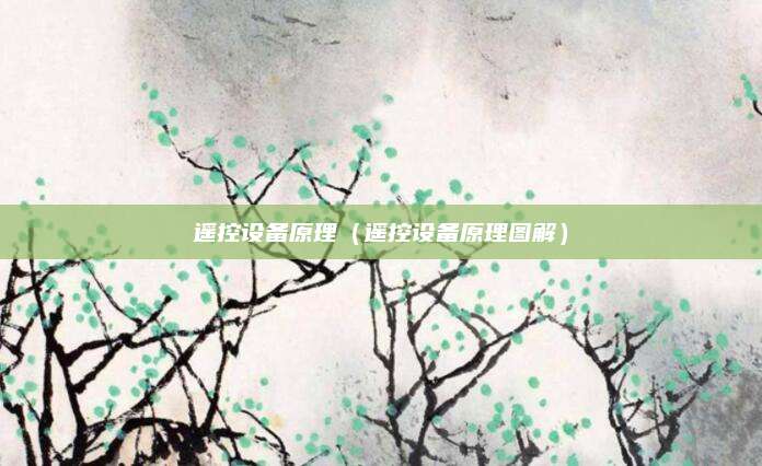 遥控设备原理（遥控设备原理图解）