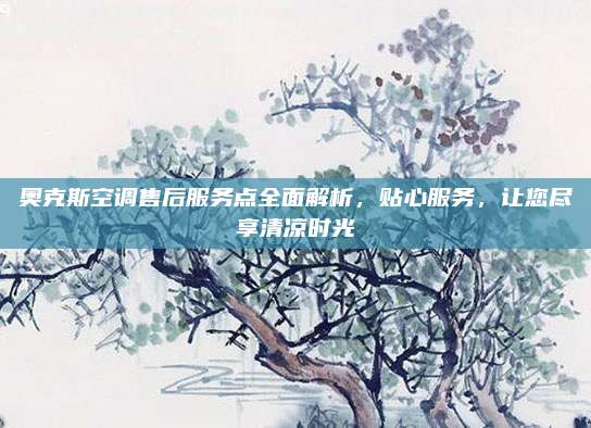 奥克斯空调售后服务点全面解析，贴心服务，让您尽享清凉时光
