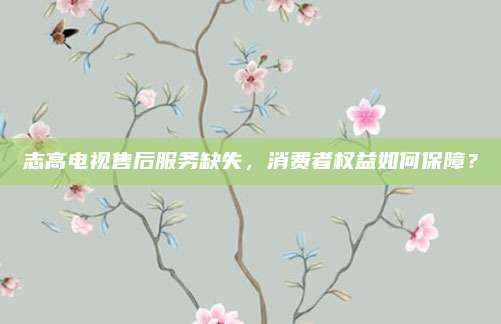 志高电视售后服务缺失，消费者权益如何保障？