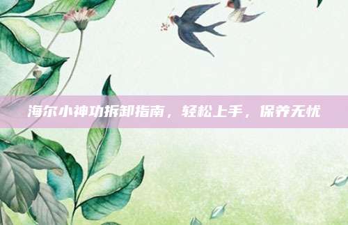 海尔小神功拆卸指南，轻松上手，保养无忧