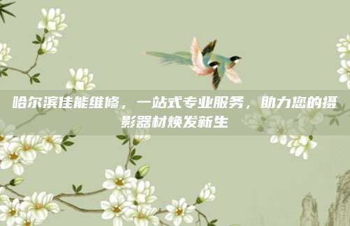 哈尔滨佳能维修,一站式专业服务,助力您的摄影器材焕发新生