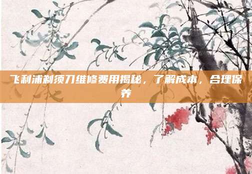 飞利浦剃须刀维修费用揭秘，了解成本，合理保养