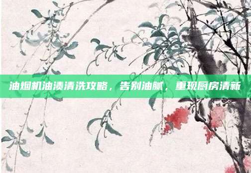 油烟机油渍清洗攻略,告别油腻,重现厨房清新