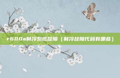 r600a制冷系统故障（制冷故障代码有哪些）
